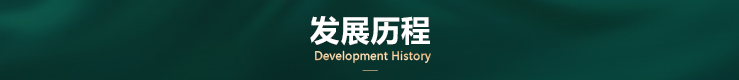 发展历程